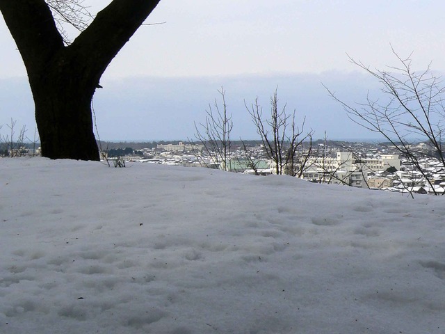 P1100575-2048.jpg
