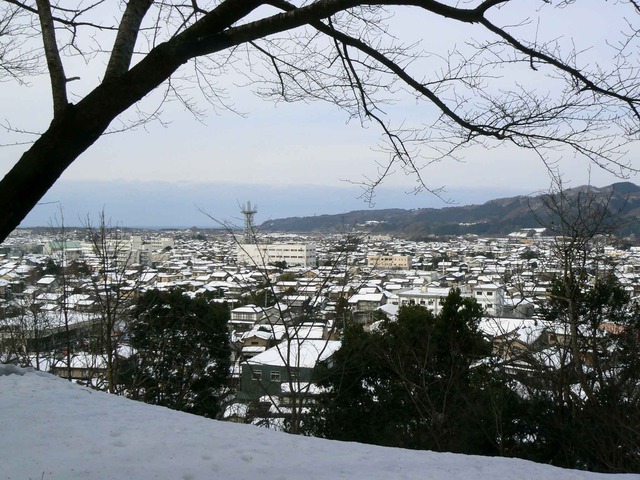 P1100576-2048.jpg
