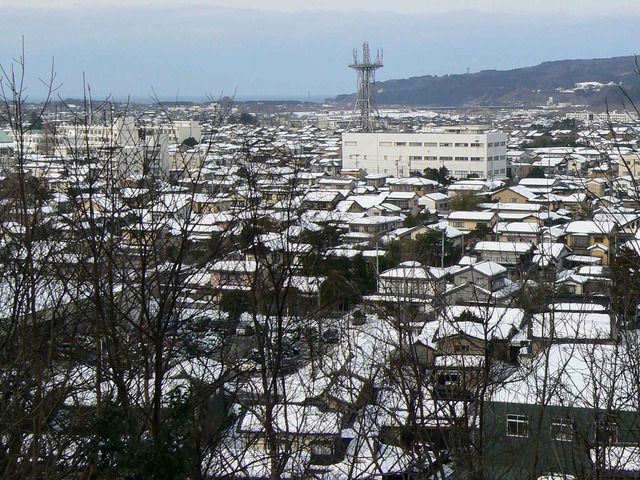 P1100579-2048.jpg