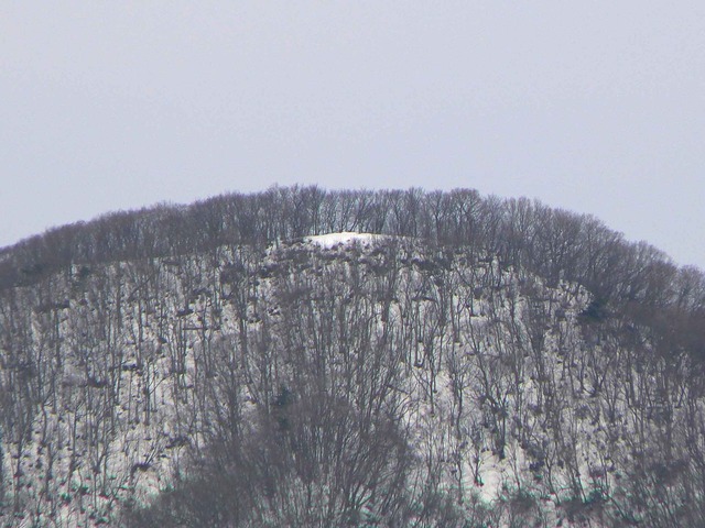 P1100583-2048.jpg