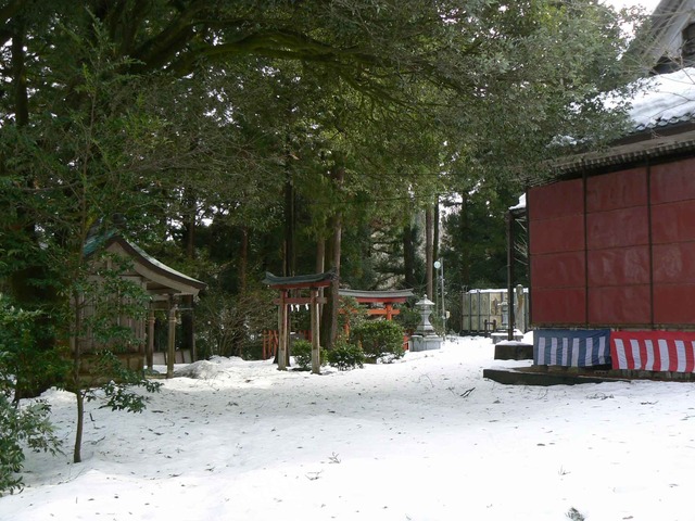P1100588-2048.jpg