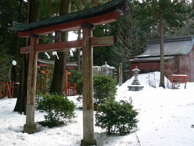 P1100589-2048.jpg