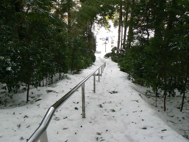 P1100599-2048.jpg