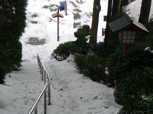 P1100600-2048.jpg
