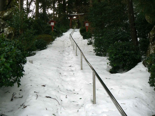 P1100604-2048.jpg