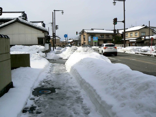 P1100614-2048.jpg