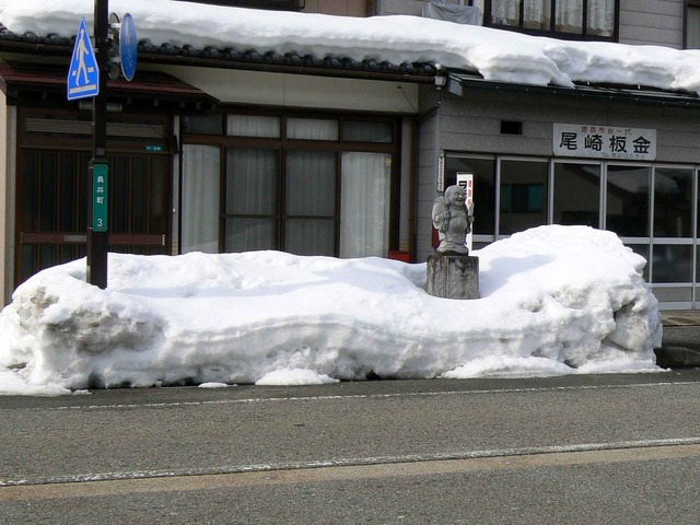 P1100617-2048.jpg