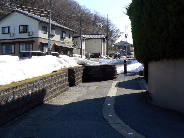 P1100726-2048.jpg