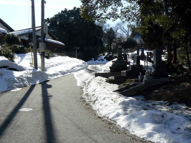 P1100738-2048.jpg