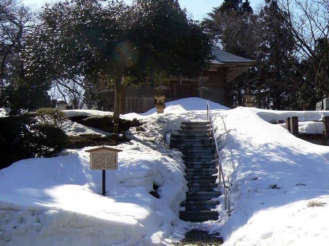 P1100740-2048.jpg