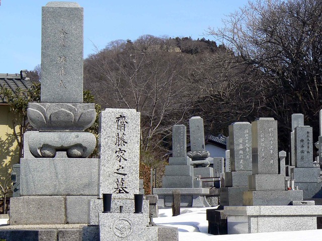 P1100790-2048.jpg