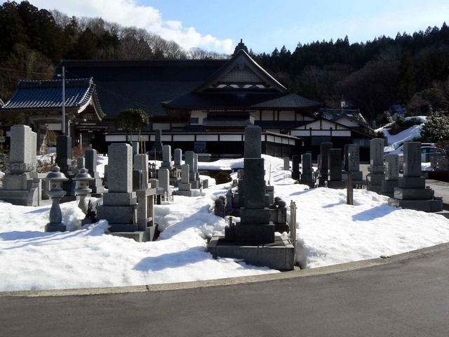 P1100795-2048.jpg
