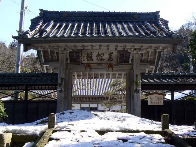 P1100803-2048.jpg