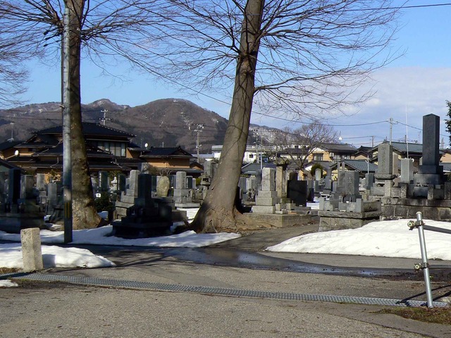 P1100811-2048.jpg
