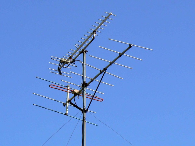 P1100821-2048.jpg