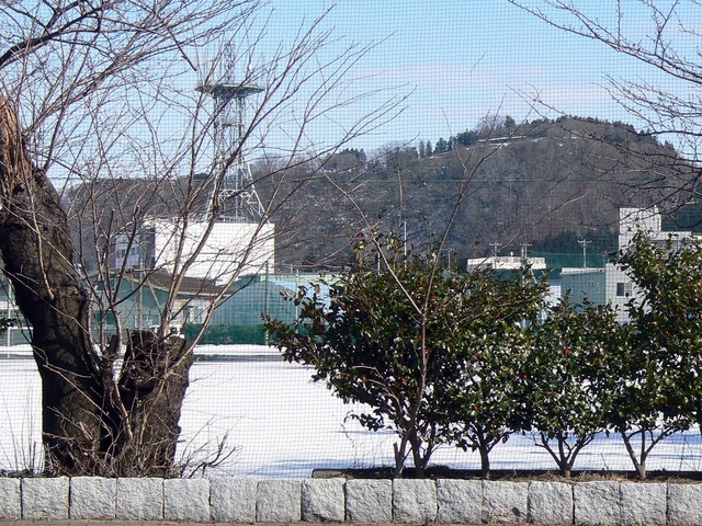 P1100839-2048.jpg