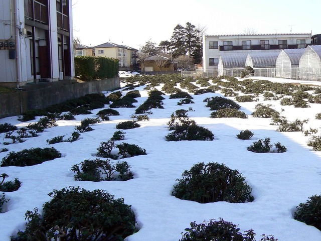 P1100841-2048.jpg
