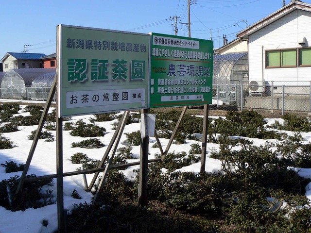 P1100842-2048.jpg
