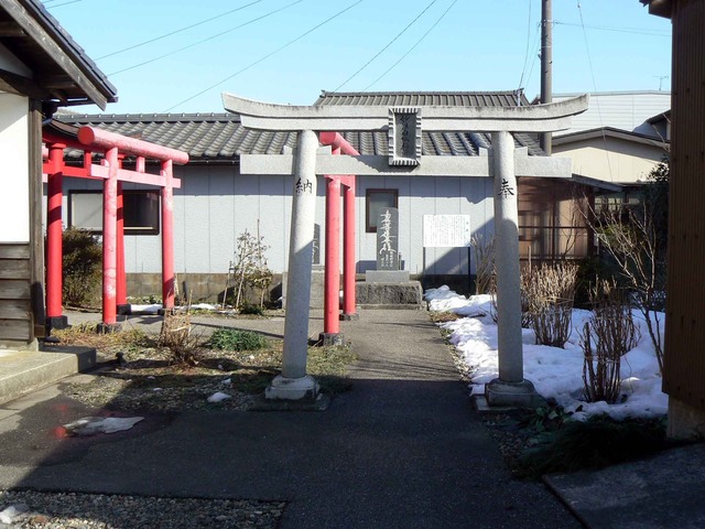P1100852-2048.jpg