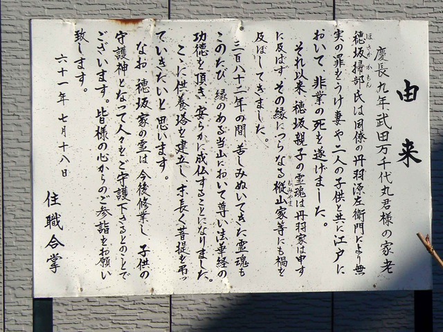 P1100854-2048.jpg