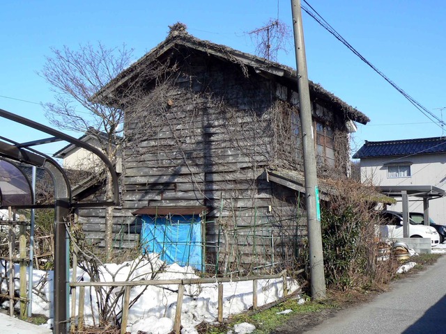 P1100864-2048.jpg