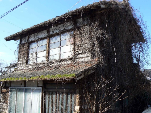 P1100865-2048.jpg