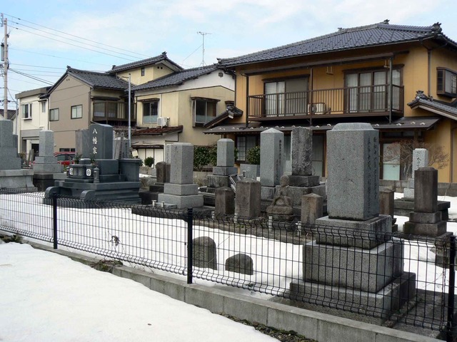 P1100876-2048.jpg