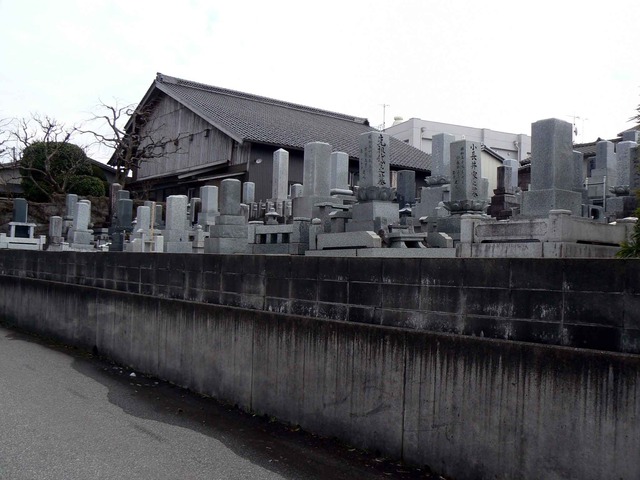 P1100917-2048.jpg