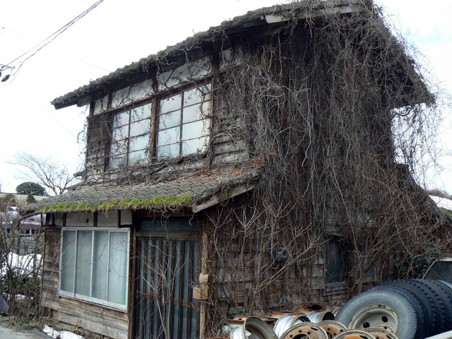 P1100920-2048.jpg