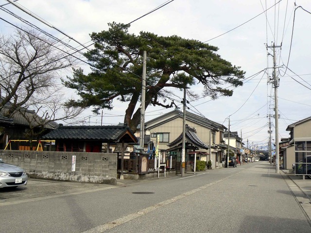P1100943-2048.jpg
