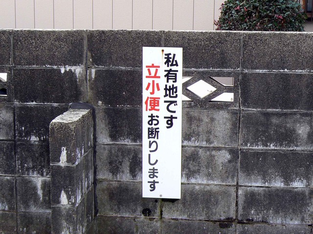P1100955-2048.jpg