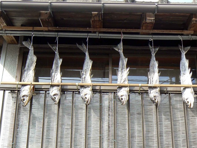 P1100960-2048.jpg
