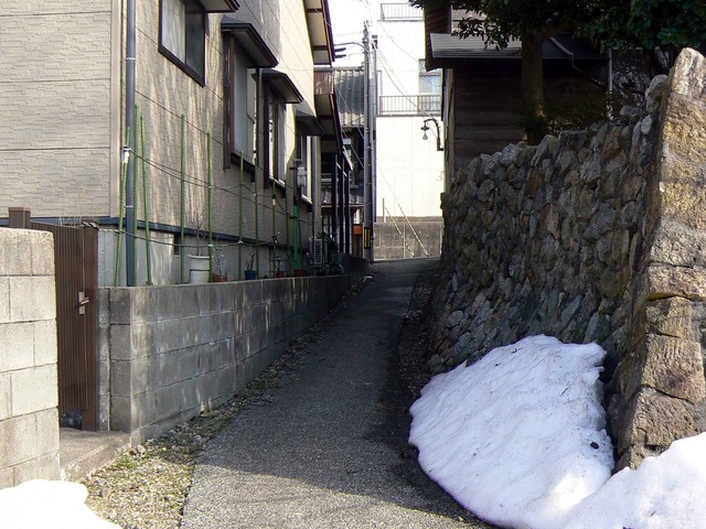 P1100972-2048.jpg