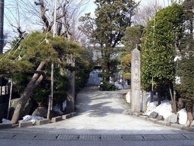 P1100974-2048.jpg