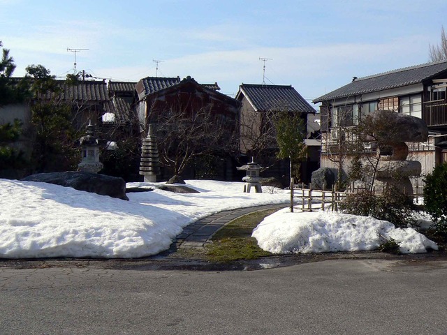 P1100995-2048.jpg
