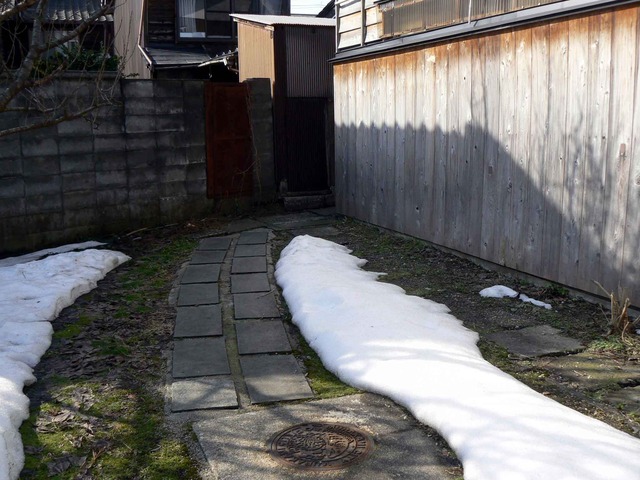P1100997-2048.jpg