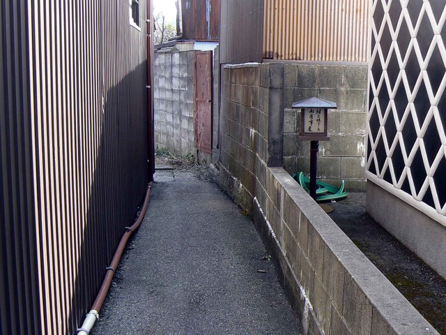 P1110002-2048.jpg