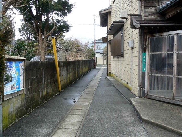 P1110044-2048.jpg