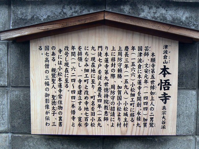 P1110055-2048.jpg