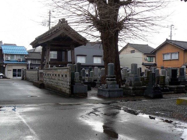 P1110059-2048.jpg