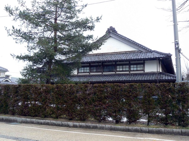 P1110080-2048.jpg