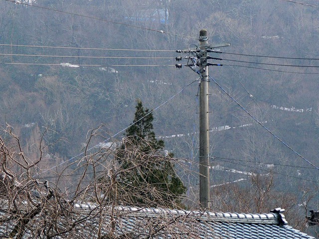 P1110088-2048.jpg