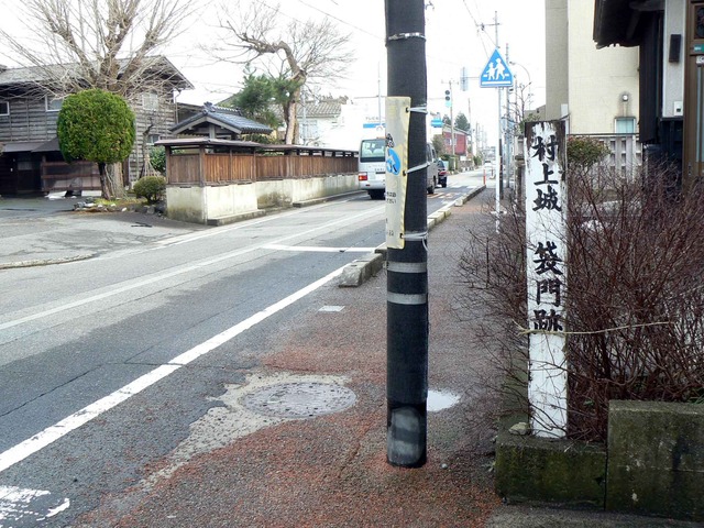 P1110089-2048.jpg
