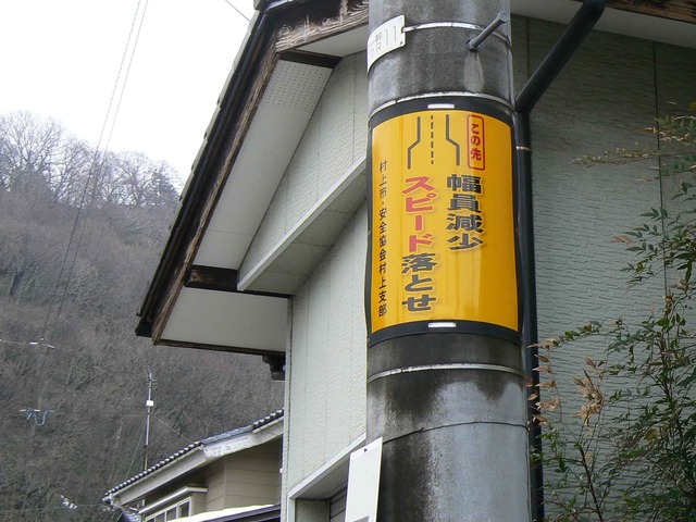 P1110115-2048.jpg
