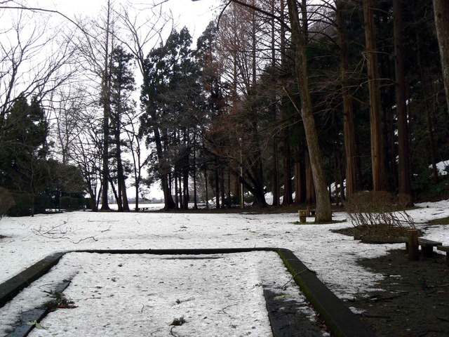 P1110127-2048.jpg