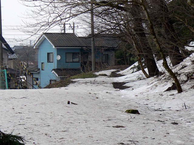 P1110131-2048.jpg