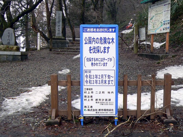 P1110142-2048.jpg