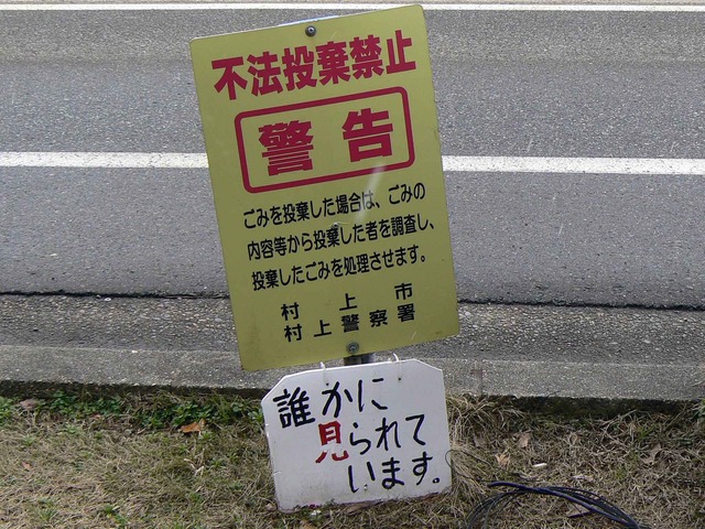 P1110220-2048.jpg