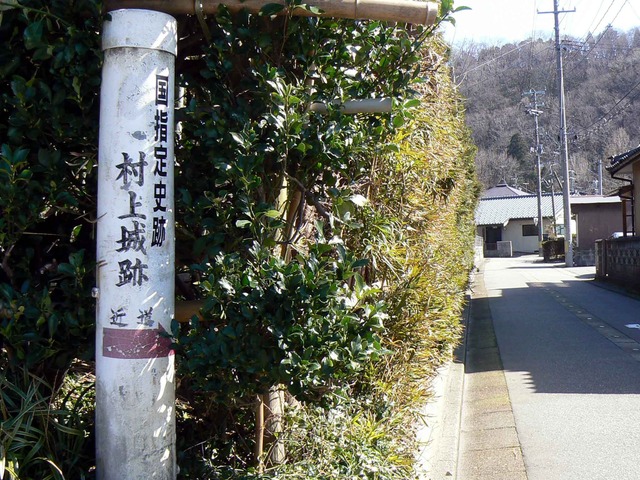 P1110256-2048.jpg