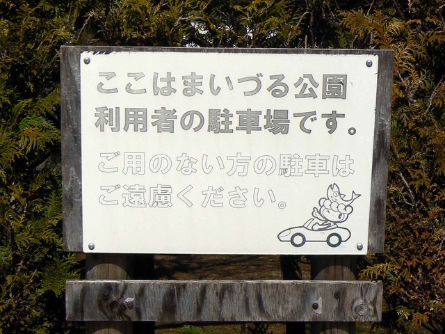 P1110266-2048.jpg
